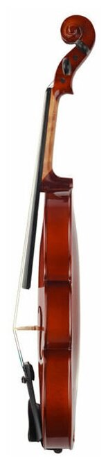 Prima P-100 4/4 скрипка в комплекте