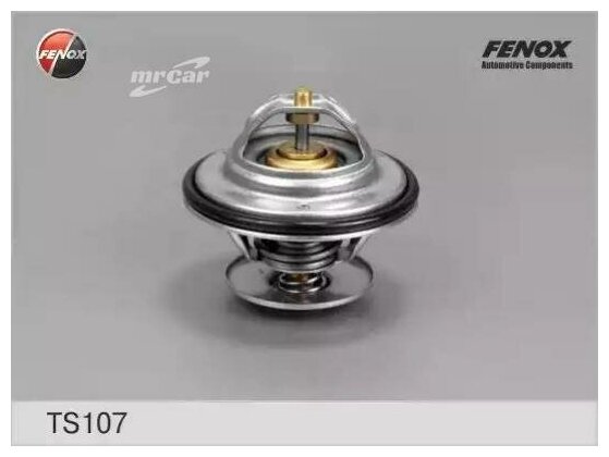 FENOX TS107 Термостат