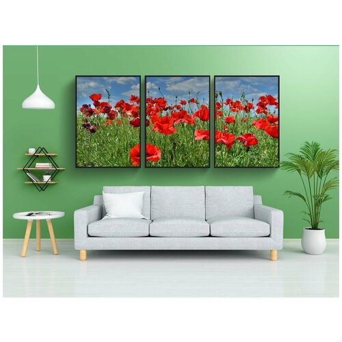фото Набор модулных постеров для интерьера "маки, летом, поле" 60x90 см. в тубусе, без рамки lotsprints