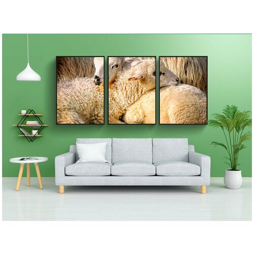 фото Набор модулных постеров для интерьера "овец, ягненок, животные" 60x90 см. в тубусе, без рамки lotsprints