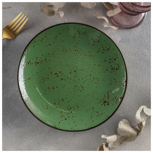 Тарелка керамическая обеденная «Созвездие», d=21 см, цвет зелёный