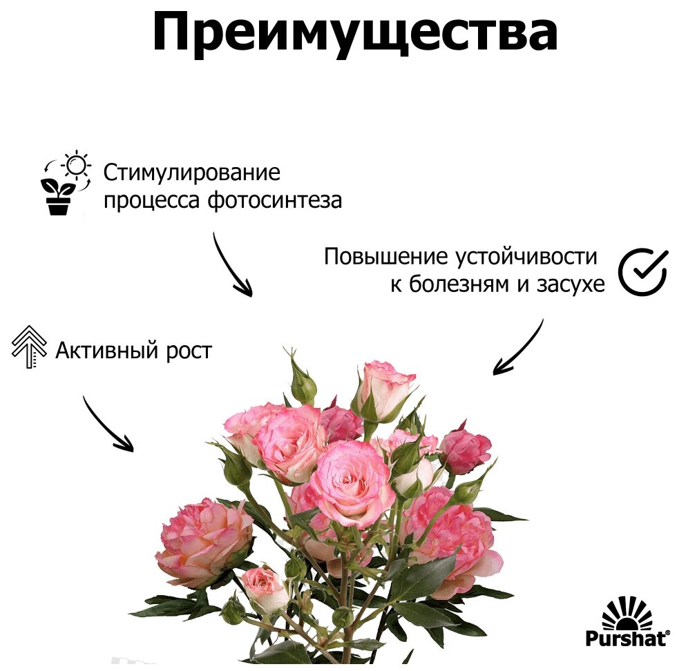 Удобрение для роз водорастворимое для комнатных и садовых роз, для пионов 500 гр Пуршат - фотография № 8