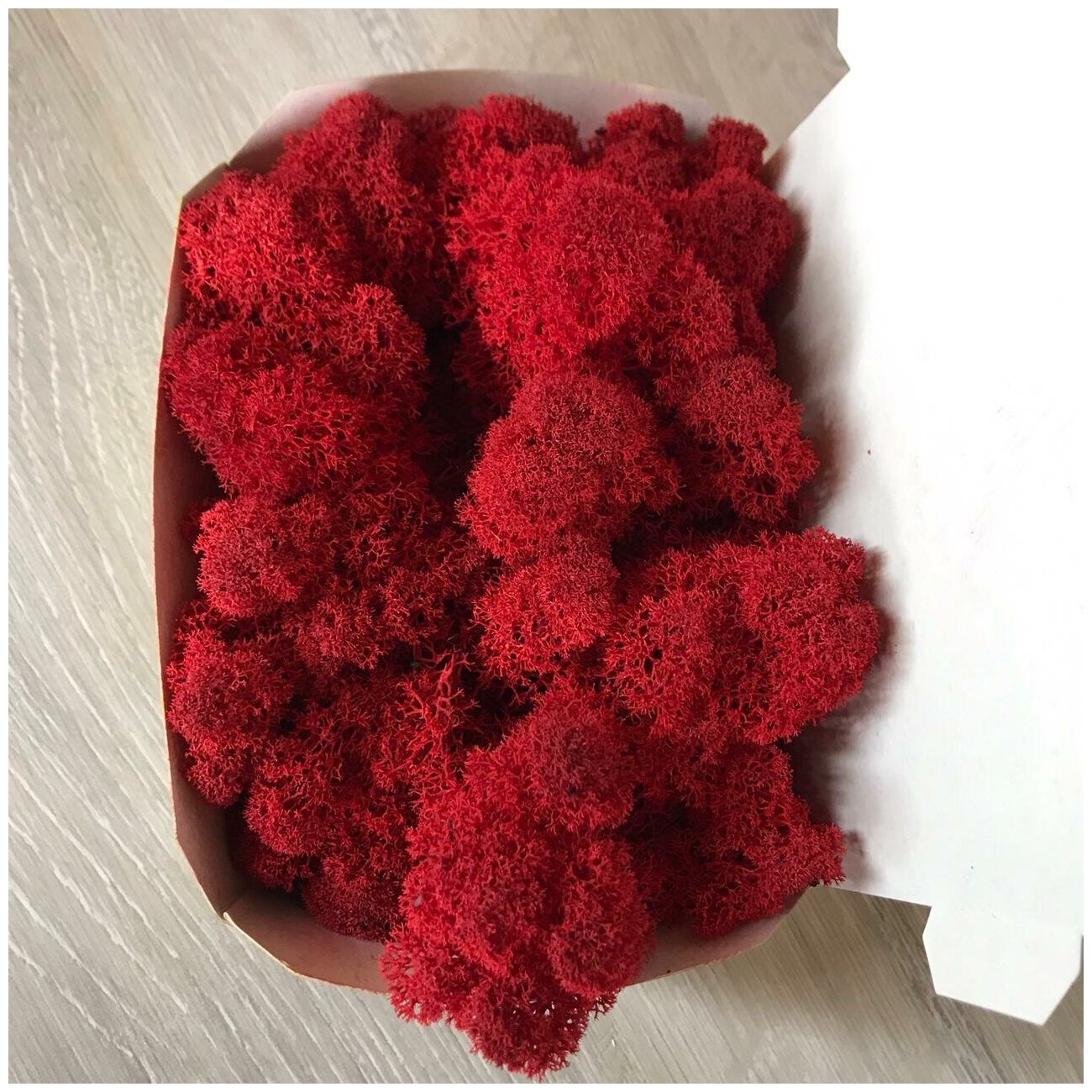 Стабилизированный мох ягель 100 гр цвет №24 (красный)