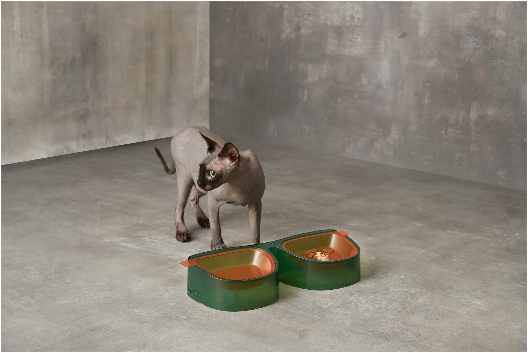Миска Cozy&Dozy для кормления кошек и собак / миска для животных двойная на подставке / миска съемная для корма и воды - фотография № 8