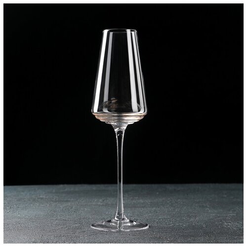 Бокал для шампанского «Ринго», 280 мл