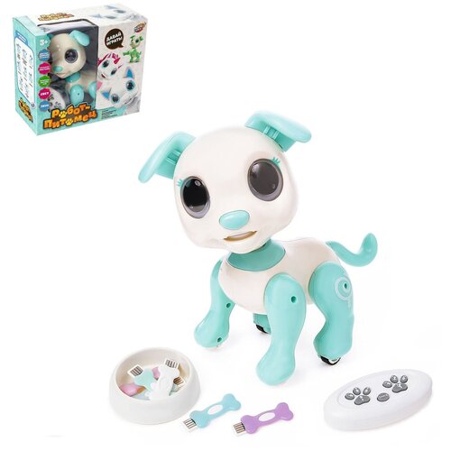 Купить Интерактивная игрушка WOOW TOYS робот собака , радиоуправляемый, интерактивный, работает от аккумулятора, цвет бирюзовый, пластик, female