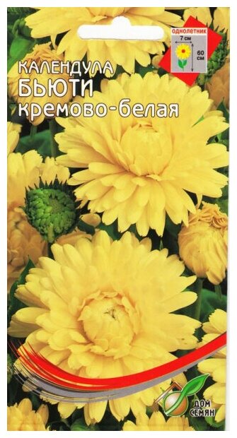 Календула Бьюти кремово-белая, 20 семян