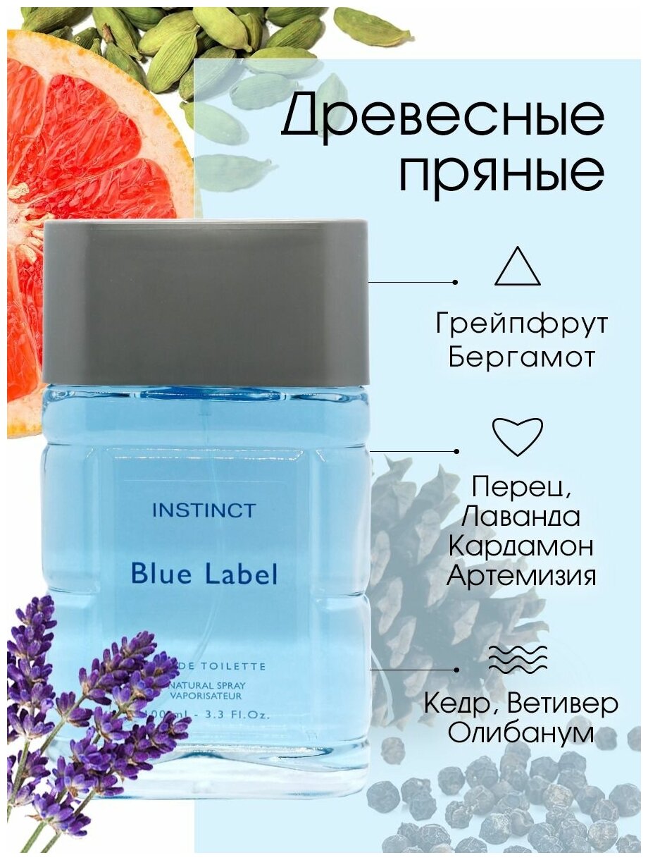 Туалетная вода мужская 100 мл, Instinct Blue Label