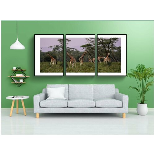 фото Набор модулных постеров для интерьера "жирафы, стадо, саванна" 60x90 см. в тубусе, без рамки lotsprints