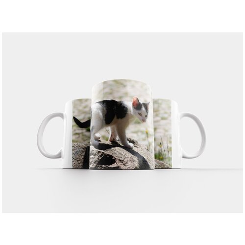 фото Кружка "кот, похмелье, щенок" 320 мл lotsprints