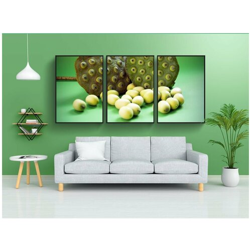 фото Набор модулных постеров для интерьера "лотос, семя, цветок" 60x90 см. в тубусе, без рамки lotsprints