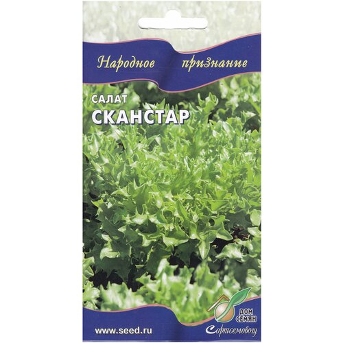 Салат Сканстар, 20 семян салат афицион рз 20 семян