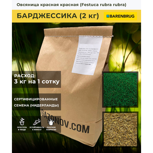 Семена газона Овсяница красная сорт Барджессика Barenbrug (2 кг)