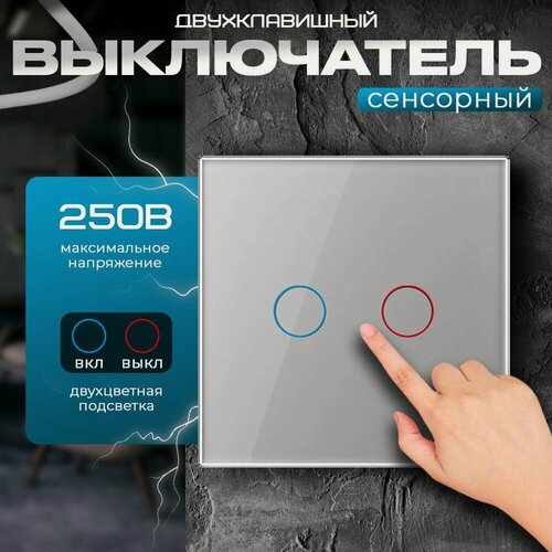 Изображение товара Выключатель двухклавишный сенсорный Livolo серый