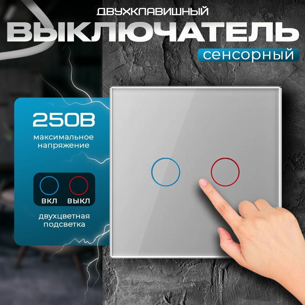 Выключатель двухклавишный сенсорный Livolo серый