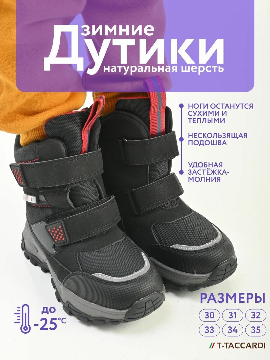 Сапоги T.Taccardi