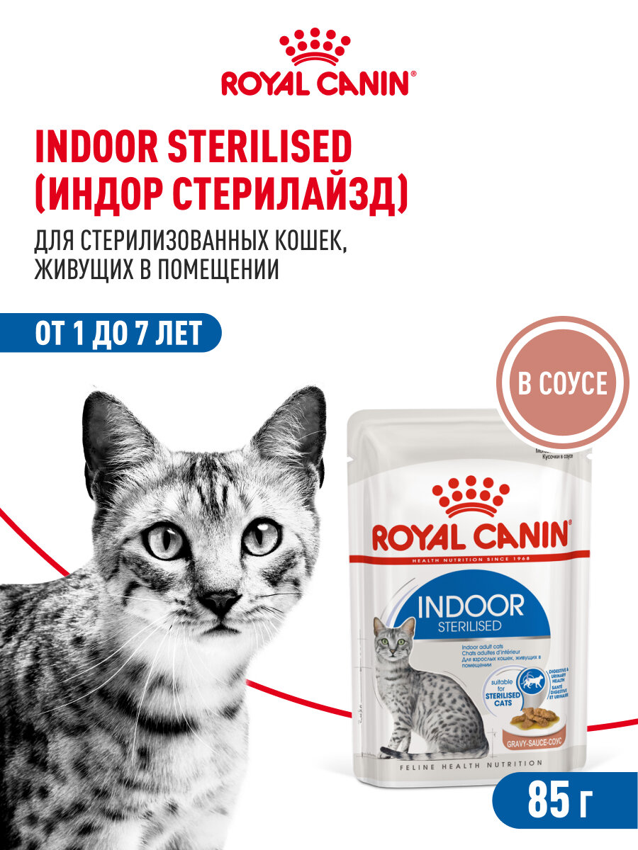 Картинки Влажный корм для стерилизованных кошек Royal Canin Indoor Sterilised кусочки в соусе, 28 шт по 85 г