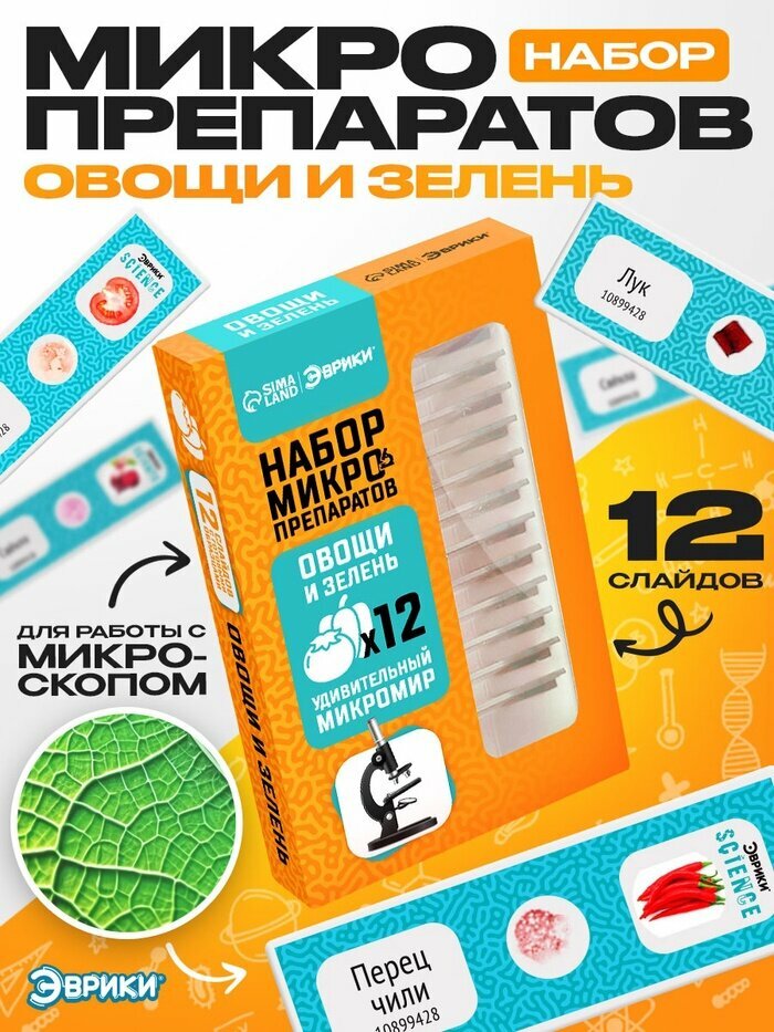 Набор для опытов «Набор микропрепаратов» овощи и зелень 12 слайдов с готовыми образцами Эврики Science