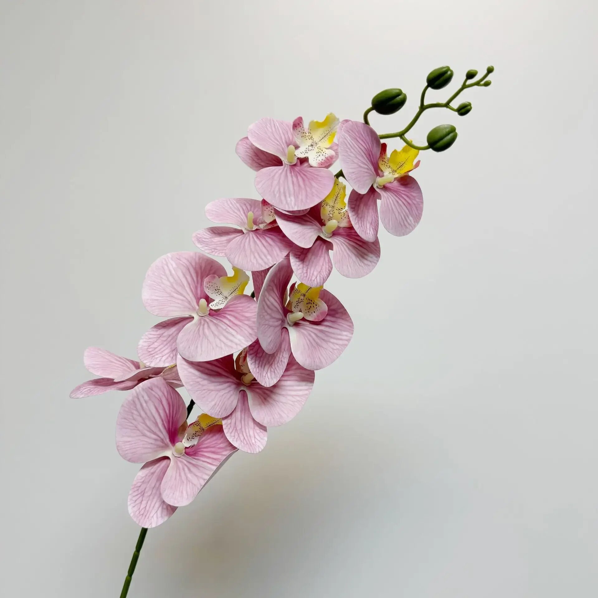 Искусственные орхидеи Phalaenopsis, цвет Bean Paste