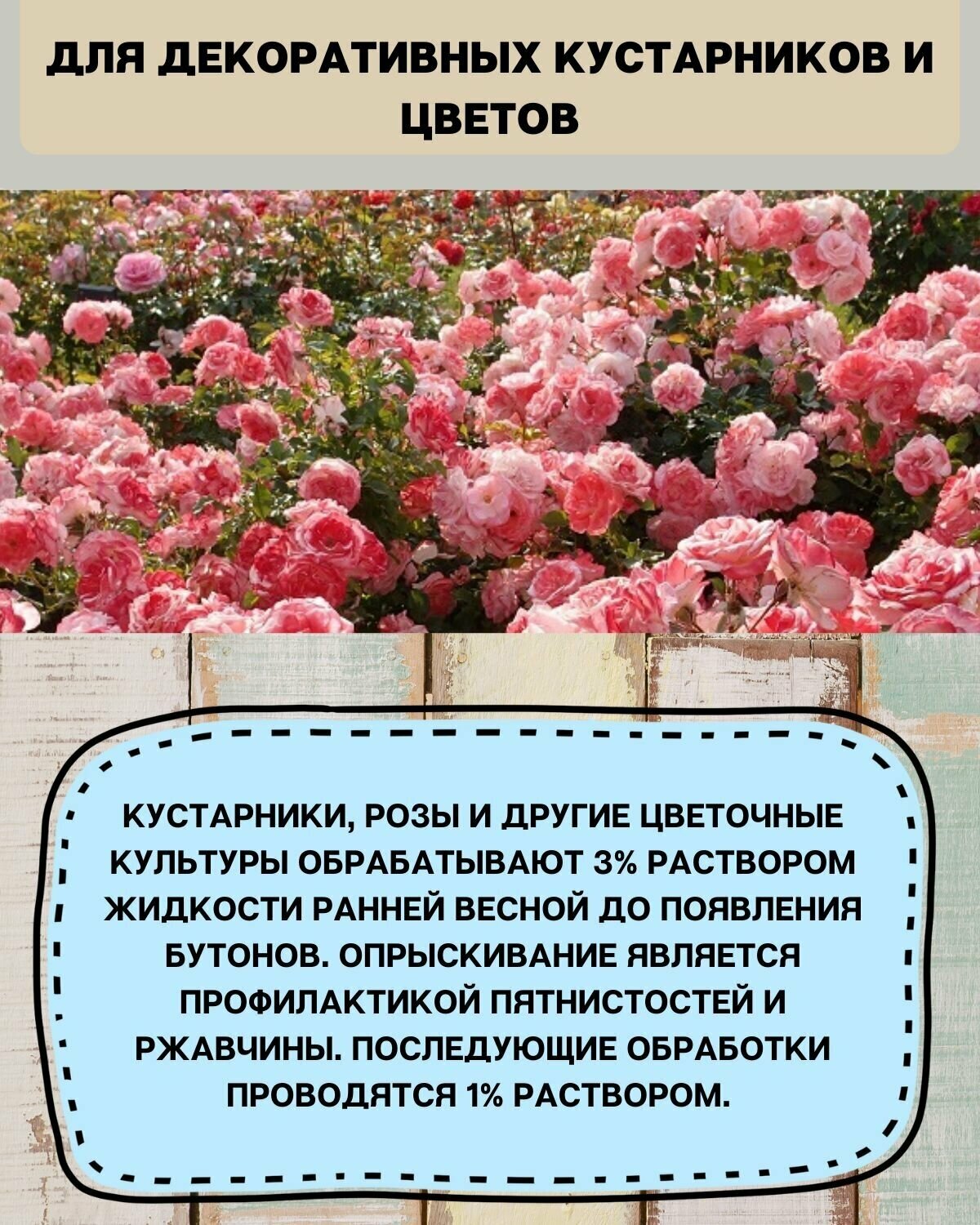 Бордосская смесь / бордосская жидкость / набор медный купорос и гашеная известь 600 грамм - фотография № 10