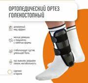 Ортез голеностопный сильной фиксации EST-085 Orliman, размер 2 — купить ...