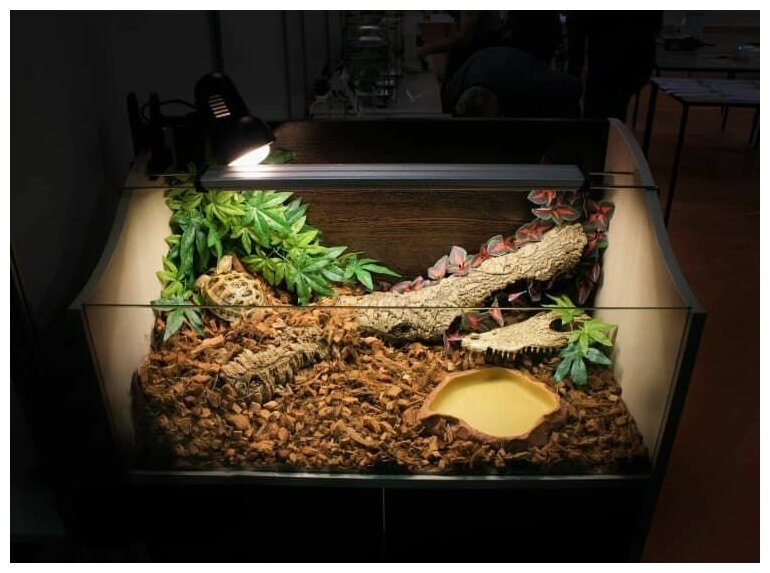 Террариум Биодизайн Turt-House Terra 70 напольный для сухопутных черепах интегрированный с подставкой беленый дуб/венге (1 шт) - фотография № 4