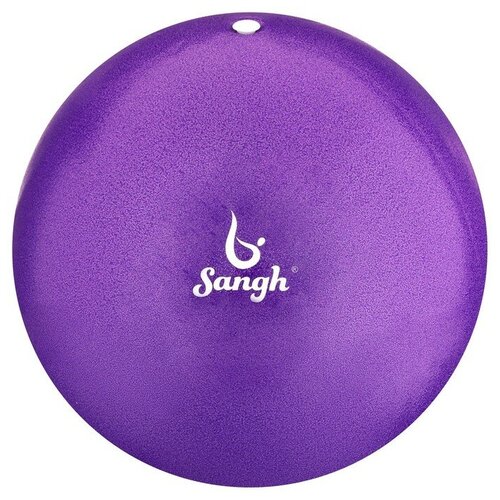 Мяч для йоги, 25 см, 100 г, цвет фиолетовый мяч для йоги cliff 6см фиолетовый