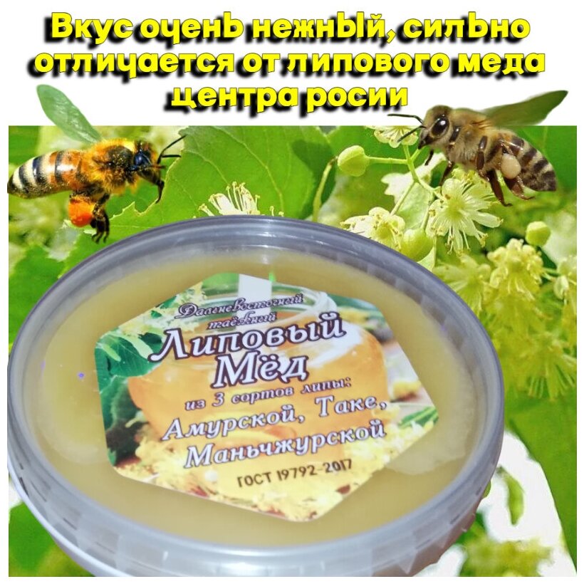 Дальневосточный таёжный липовый мёд из трех сортов липы: Амурской, Маньжурской, Таке. Объем 0,5 литра - фотография № 2