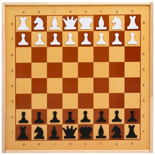 демонстрационные шахматы магнитные игровое поле 73х73 см фигуры полимер король h 6 3 см Демонстрационные шахматы 61 х 61 см, на магнитной доске, король 6.4 см