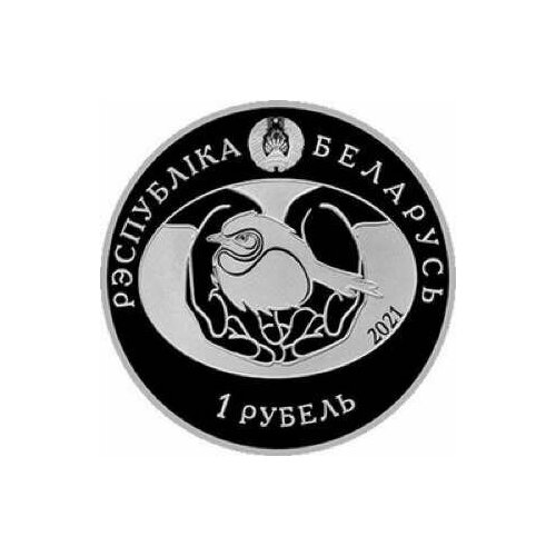Памятная монета 1 рубль Козодой обыкновенный. Беларусь, 2021 г. в. Proof
