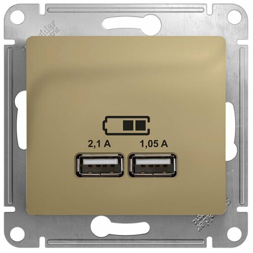 Розетка usb GSL000433 скрытая установка титан IP20 два модуля USB