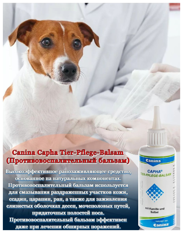 Canina Capha Tier-Pflege-Balsam противовоспалительный бальзам для собак и кошек 100 мл (1 шт)