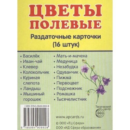 Цветы полевые. Раздаточные карточки (16 штук)