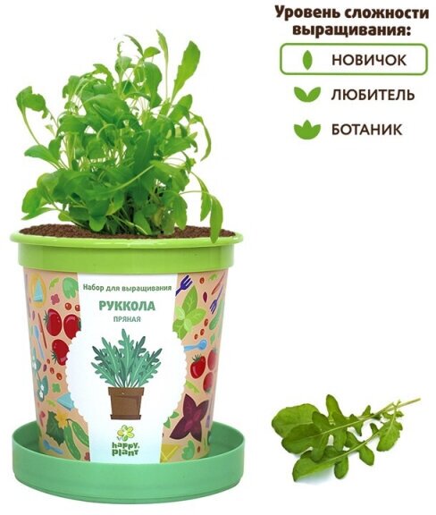 Набор, Happy Plant Горшок Руккола пряная для выращивания (бантик) - фото №3