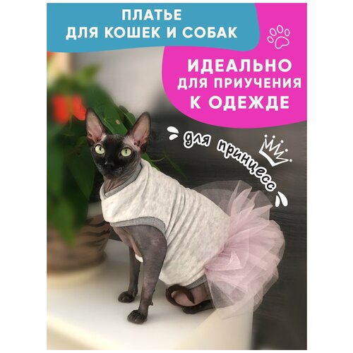 Одежда для животных кошек сфинкс и собак мелких пород