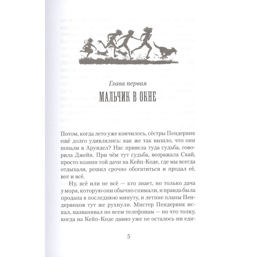 Пендервики. Летняя история про четырех сестер, двух кроликов и одного мальчика, с которым было не скучно. Книга первая - фото №10