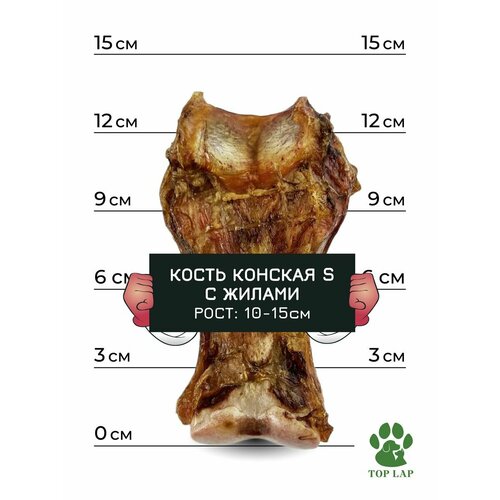 Конская кость малая S Top Lap, 1 шт / Лакомства для собак