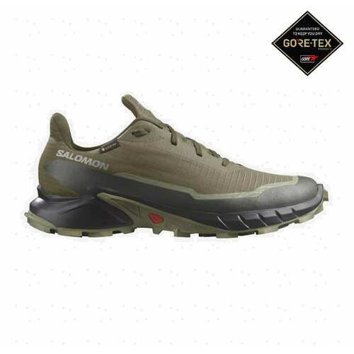 фото Кроссовки salomon alphacross 5 gtx, полнота f (eu)/ на среднюю стопу, размер uk 10; eur 44 2/3; usa 10,5; 28,5 см (примерно на российский 43*), зеленый