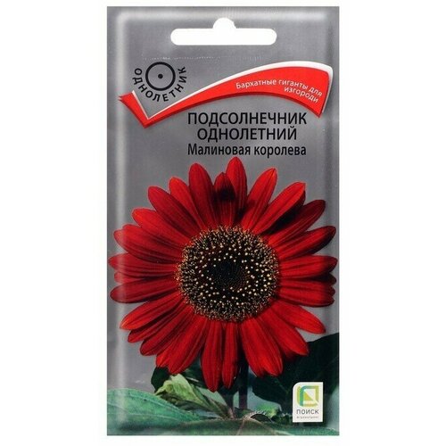 Семена цветов Подсолнечник однолетний Малиновая королева, 0,5 г 5 упаковок
