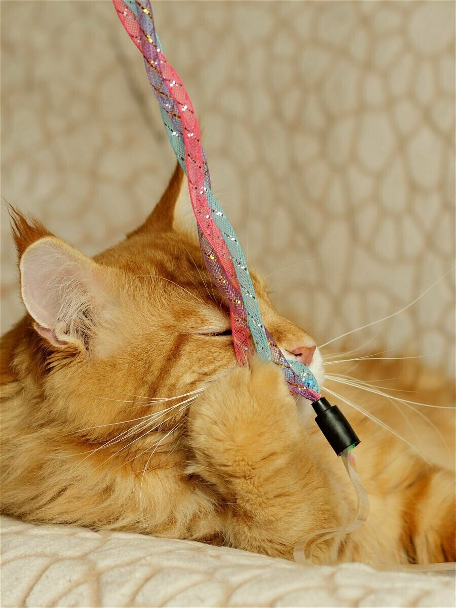 Игрушка для кошек Japan Premium Pet эластичная дразнилка с перьями, жемчужными блестящими ленточками и колокольчиками внутри. Розово-голубой цвет - фотография № 2