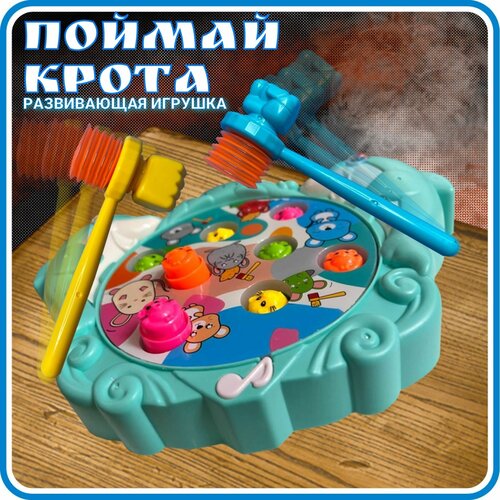 Развивающая игрушка, 