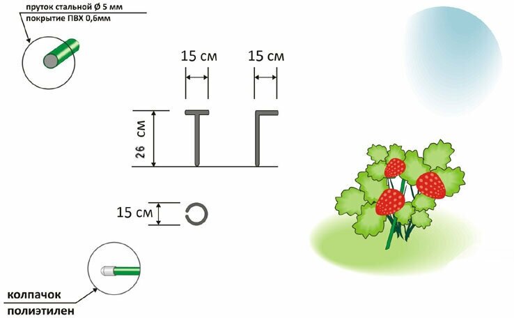 Набор кустодержателей для клубники 5 шт, d-15 см, h-26 см, металл, ПВХ, цвет зелёный. Облегчает полив и сбор урожая, препятствует слеживанию на земле - фотография № 5
