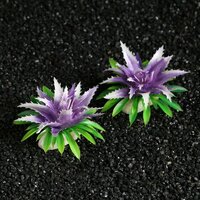 Пижон Аква Растение искусственное аквариумное, 11х9х6 см, (набор 2 шт), фиолетовый
