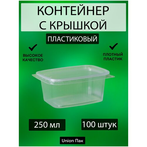 Контейнер с крышкой одноразовый пластиковый 250 мл 100 штук