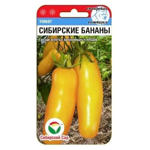 томат сибирские бананы 20шт полудет ср сиб сад 10 ед товара Сибирские бананы 20шт томат (Сиб Сад)