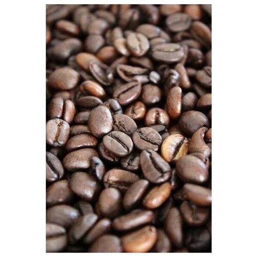 Зерновой кофе Бразилия Сантос Vintage 100 грамм