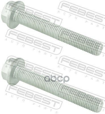 2098-001-Pcs2 Болт Крепления Рычага Vag Febest арт. 2098-001-PCS2