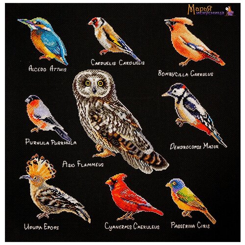 фото Набор для вышивания птицы марья искусница