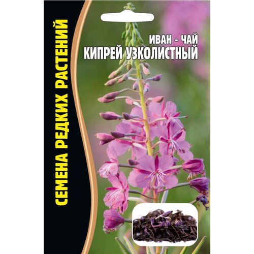 Семена Иван-чая (Кипрей узколистный) (350 семян)