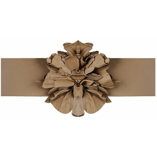 фото Ремень nude, натуральная кожа, для женщин, бежевый